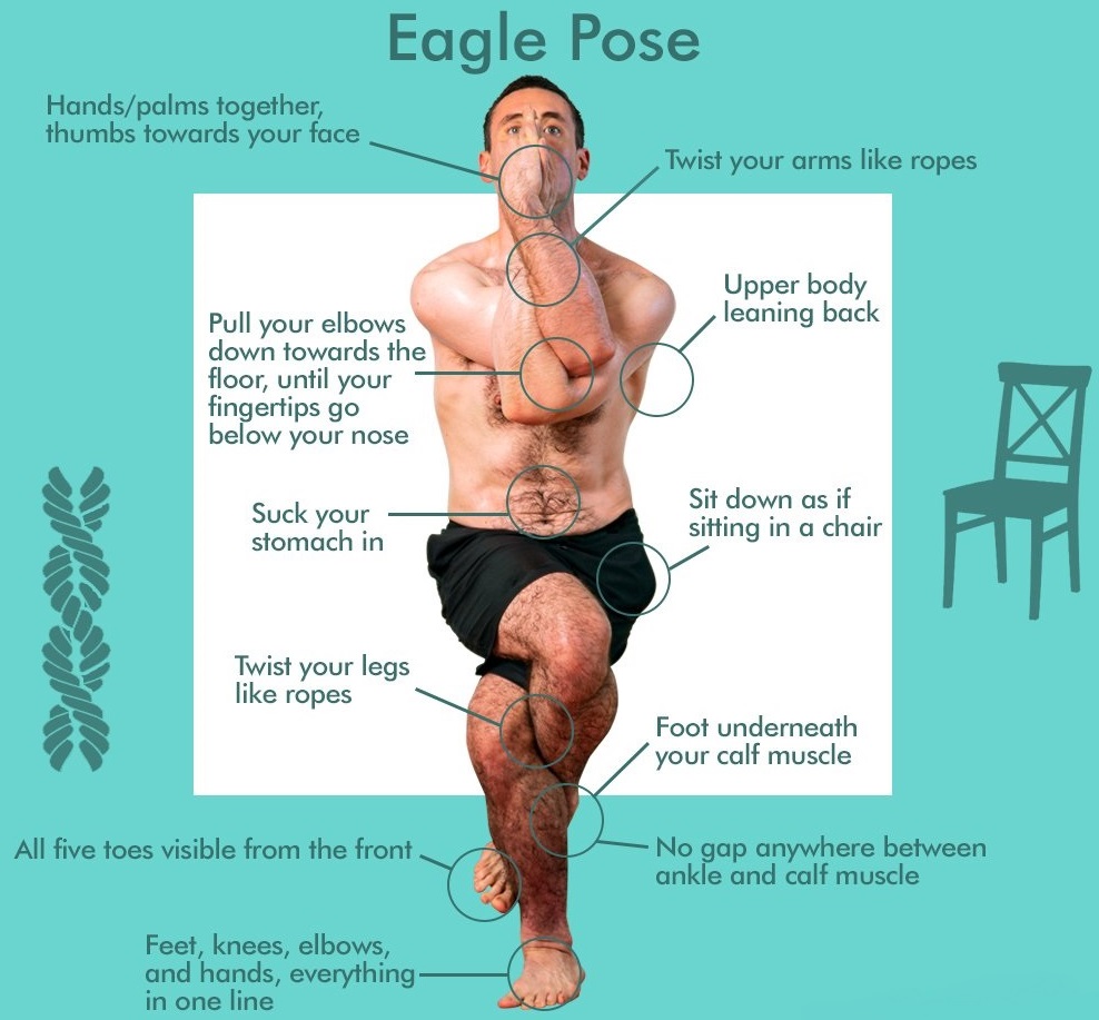 eagle